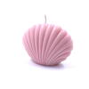 Shell – Rose Pink